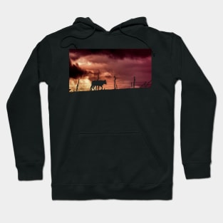 silhouette of a bull in a sunset Hoodie